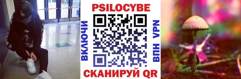 Галлюциногенные грибы ЛСД  Щёкино 